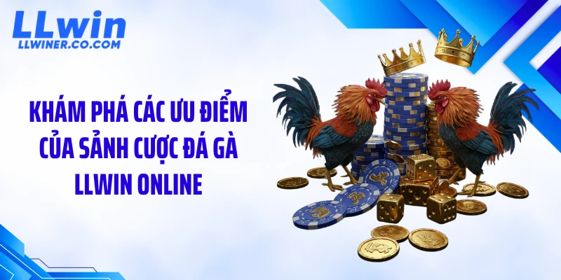 Khám phá các ưu điểm của sảnh cược đá gà LLWIN online