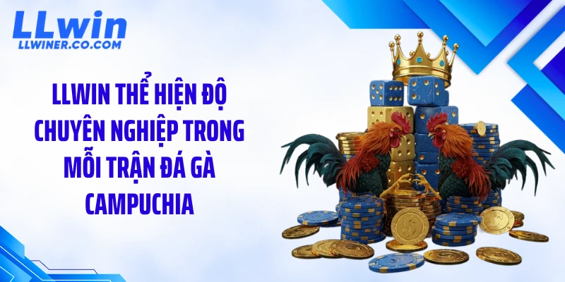 LLWIN thể hiện độ chuyên nghiệp trong mỗi trận đá gà Campuchia