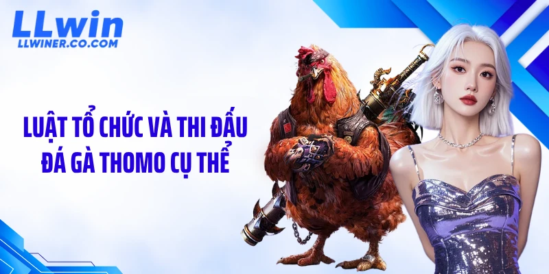 Luật tổ chức và thi đấu đá gà Thomo cụ thể