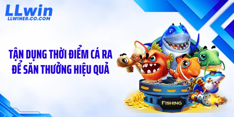 Tận dụng thời điểm cá ra để săn thưởng hiệu quả