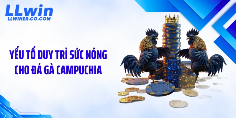 Yếu tố duy trì sức nóng cho đá gà Campuchia